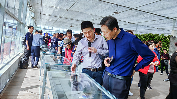 麻将胡了副总经理陈曦向培训班介绍托普智能终端