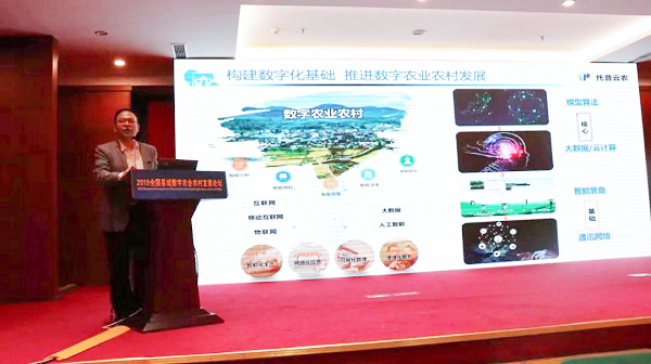 麻将胡了副总经理钱鹏概述麻将胡了在推动数字农业村落部傍边的定位