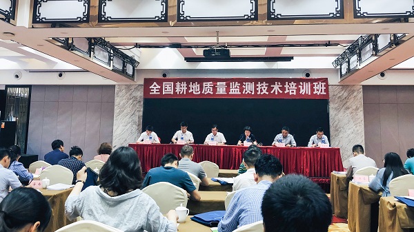 数字耕保助推数字农业，，，，，，麻将胡了信息化技术守护国度粮仓