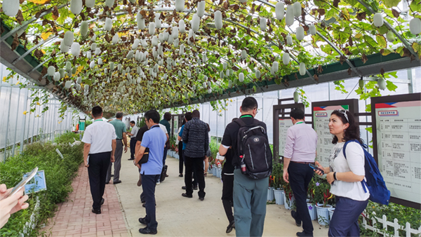 多个国度农业辅导与专家在观摩钻研