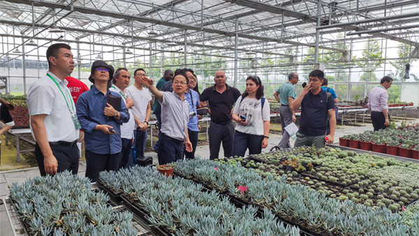 多个国度农业辅导与专家在观摩钻研