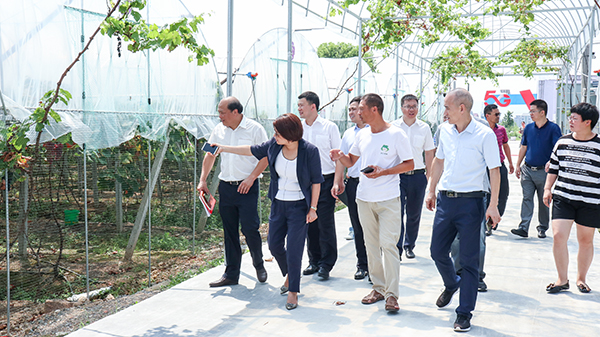 参观大棚智能节造系统