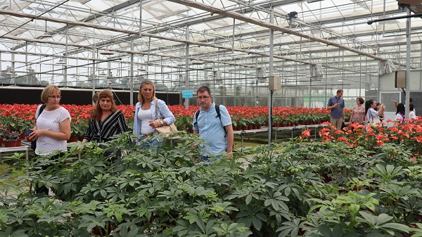 研建班一行来到由麻将胡了与萧山农科所结合搭建的现代农业产业园进行调查