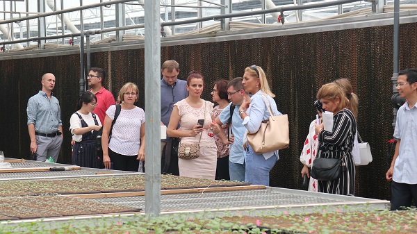 研建班一行来到由麻将胡了与萧山农科所结合搭建的现代农业产业园进行调查