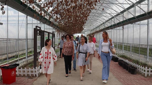研建班一行来到由麻将胡了与萧山农科所结合搭建的现代农业产业园进行调查