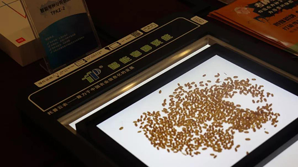 AI图形鉴别技术推动扭转育种科研传统工作方式