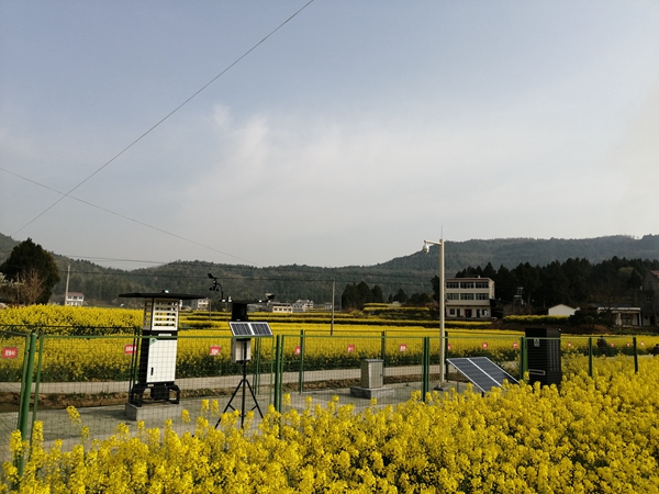 麻将胡了植保产品