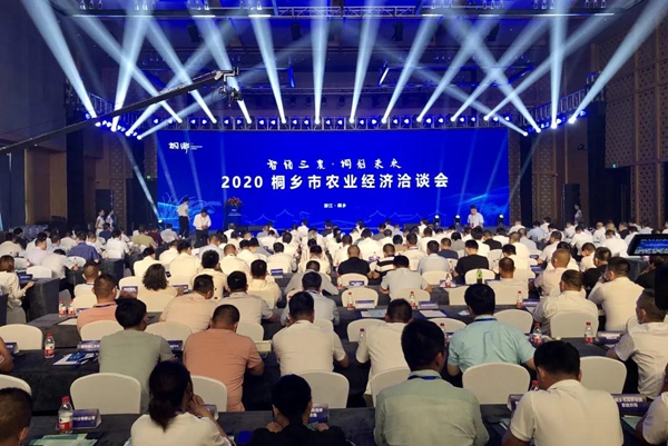 打造数字三农新模式，，，，，，，麻将胡了与桐乡市人民当局签定战术合作和谈