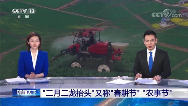 海曙无人农场引央视连番点赞，，，，，，，麻将胡了数字大田助春耕