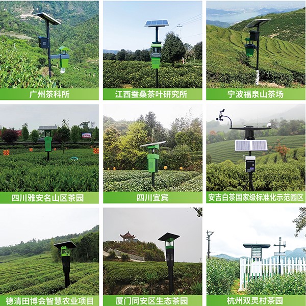 麻将胡了茶园绿色防控技术规划利用