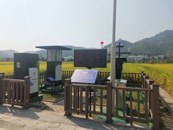 与会专家辅导参观麻将胡了支持构建的智慧种业服务平台