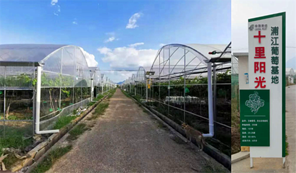 长沙浦江“超等农场”