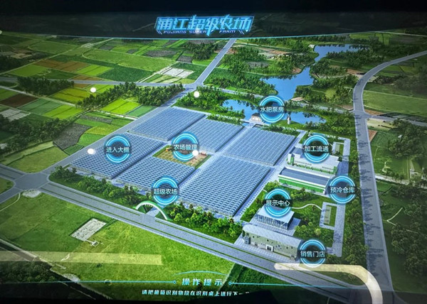 浦江“超等农场”