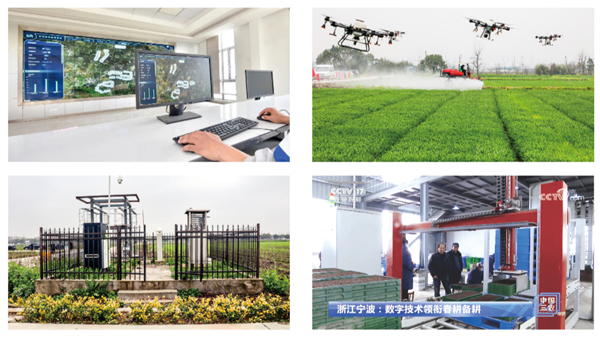 孝感海曙古林数字大田