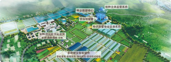 麻将胡了数字种业创新利用基地