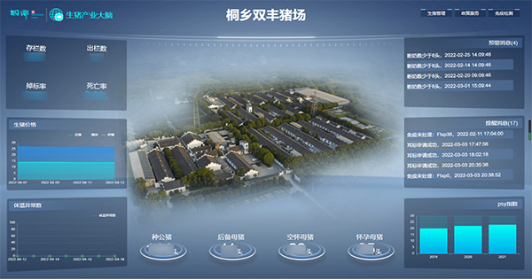 麻将胡了打造的“生猪精密智管”社会化服务利用