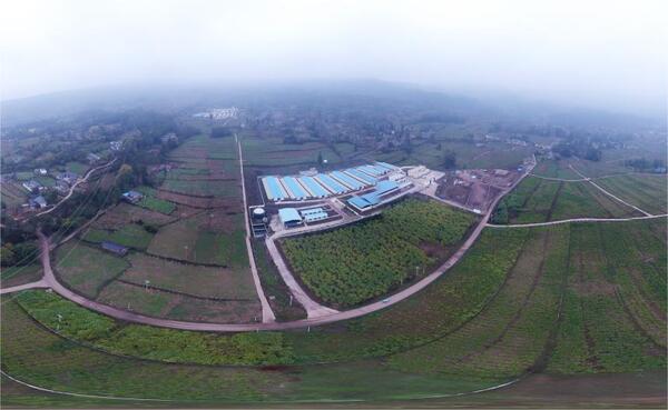 扎根四川，，，，，，，麻将胡了为农业数字化发展服务