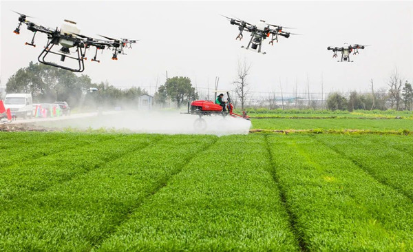 孝感海曙古林数字大田