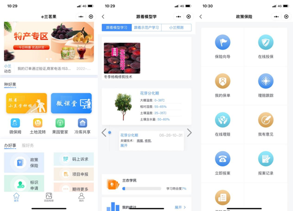 “e兰茗果”幼法式部门界面