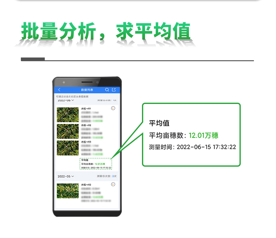 水稻亩穗数丈量系统