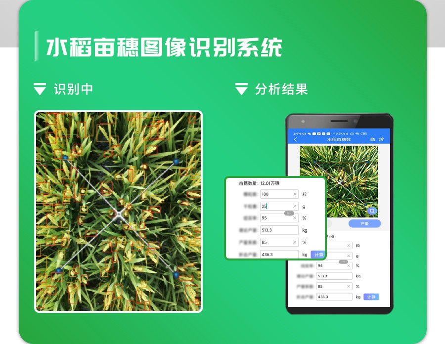 水稻亩穗数丈量系统