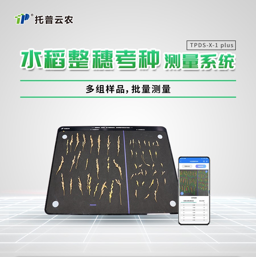 水稻整穗考种丈量系统