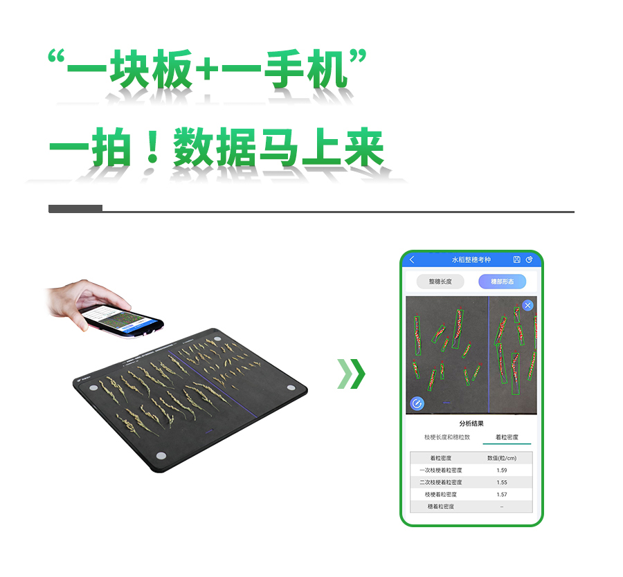 水稻整穗考种丈量系统