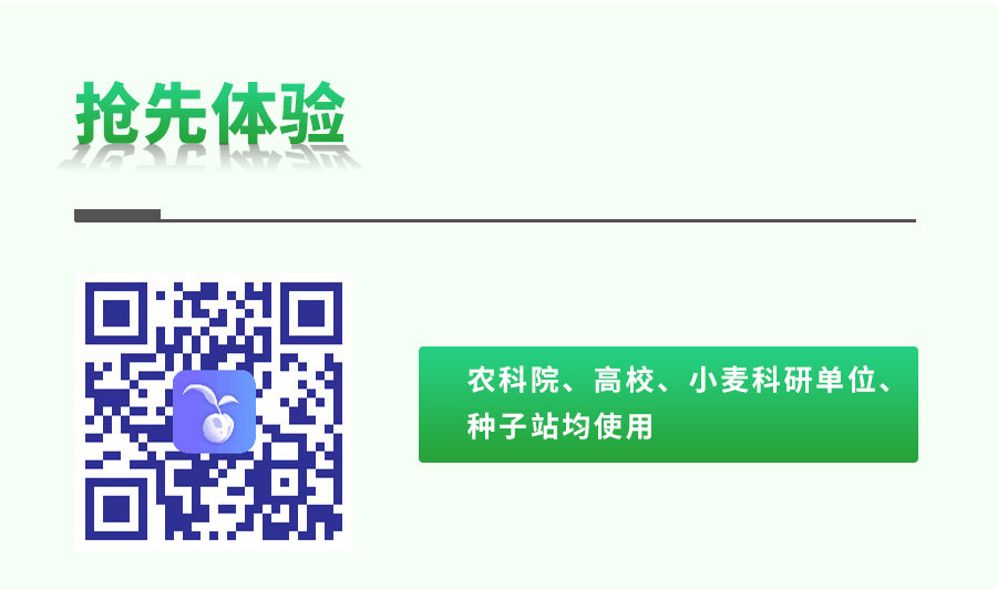 幼麦表型检测仪