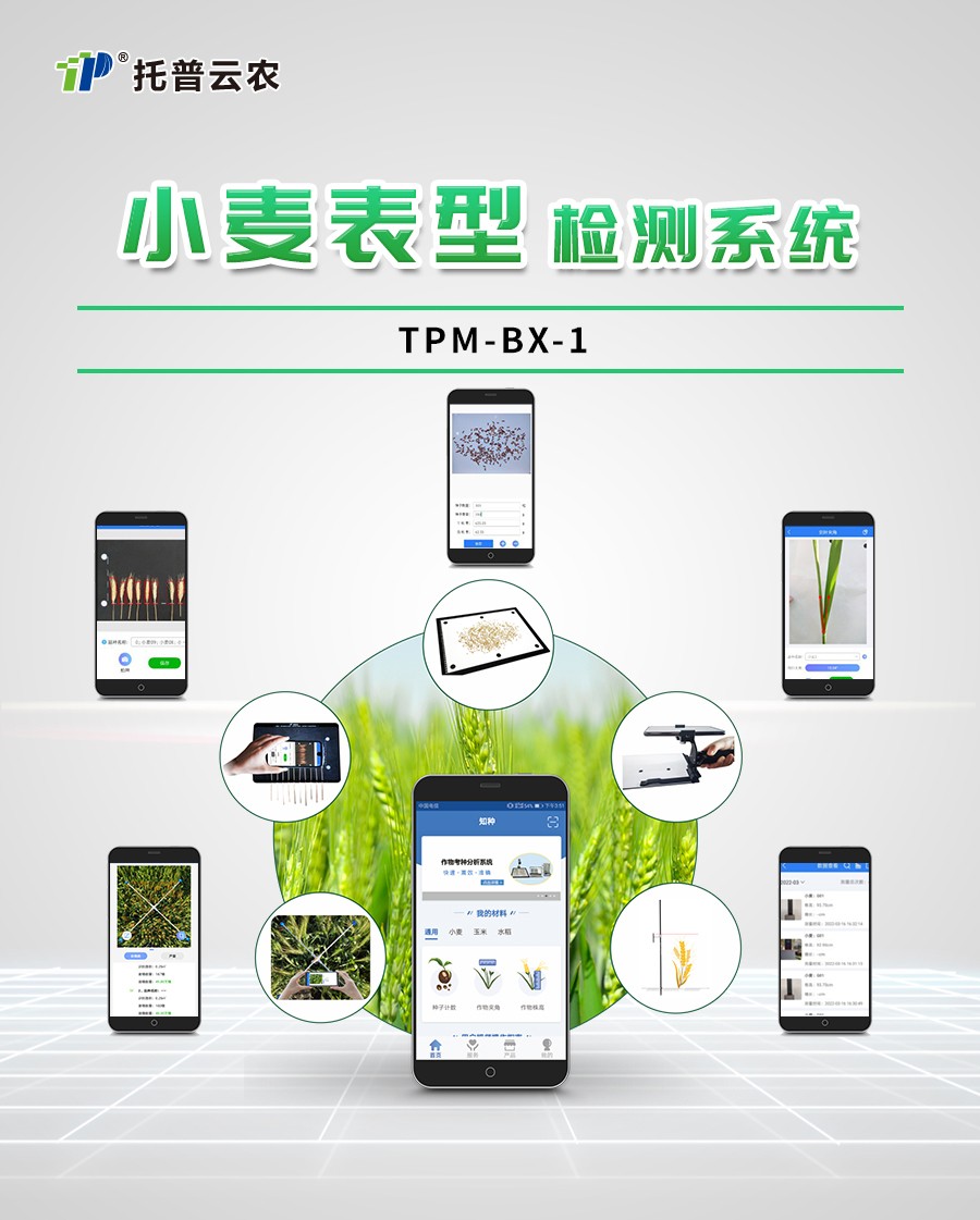 幼麦表型检测仪