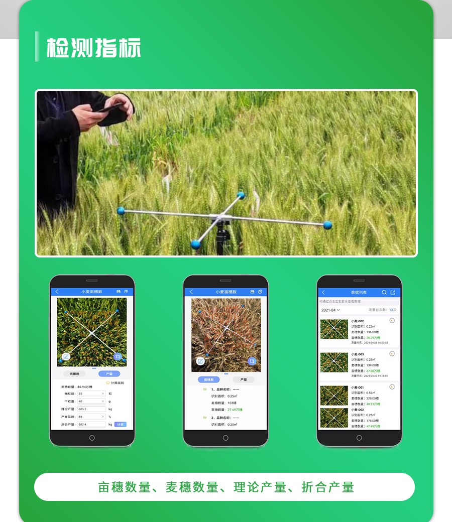 幼麦亩穗数丈量仪