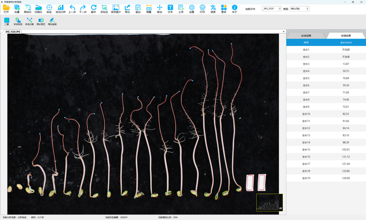 4. 种子萌发和根系分析（2）.png