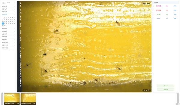 2025.4.22 蚜虫9头_副本.jpg